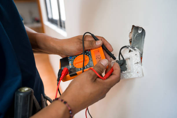 Best Electric Panel Repair  in Carbon Cliff, IL